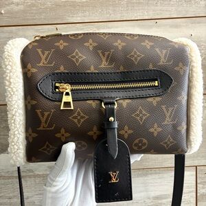 Louis Vuitton Teddy Mitt Monogram Shearling Bag